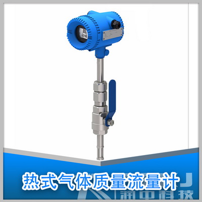 插入式熱式氣體質(zhì)量流量計